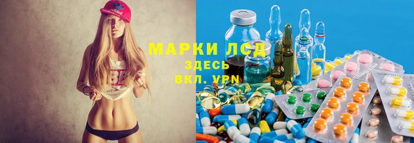 хмурый Шали