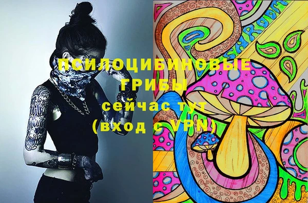 прущие грибы Дмитров