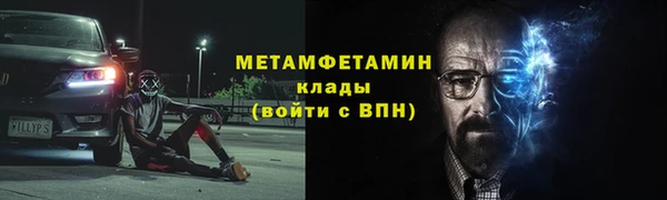 прущие грибы Дмитров