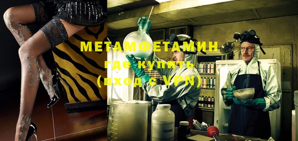 прущие грибы Дмитров