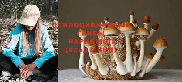 дживик Новодвинск